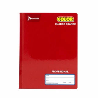 Norma Cuaderno Profesional Cuadro Grande