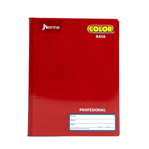 Norma Cuaderno Profesional Raya